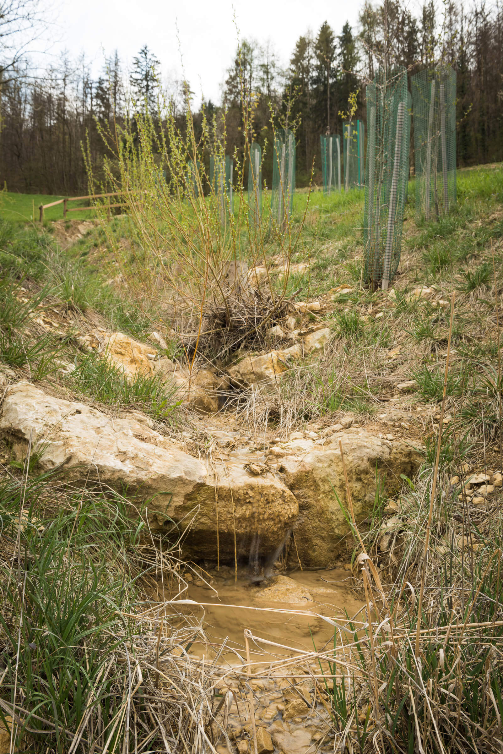 Auftragsfotografie Gemeinde Ennetbaden 15