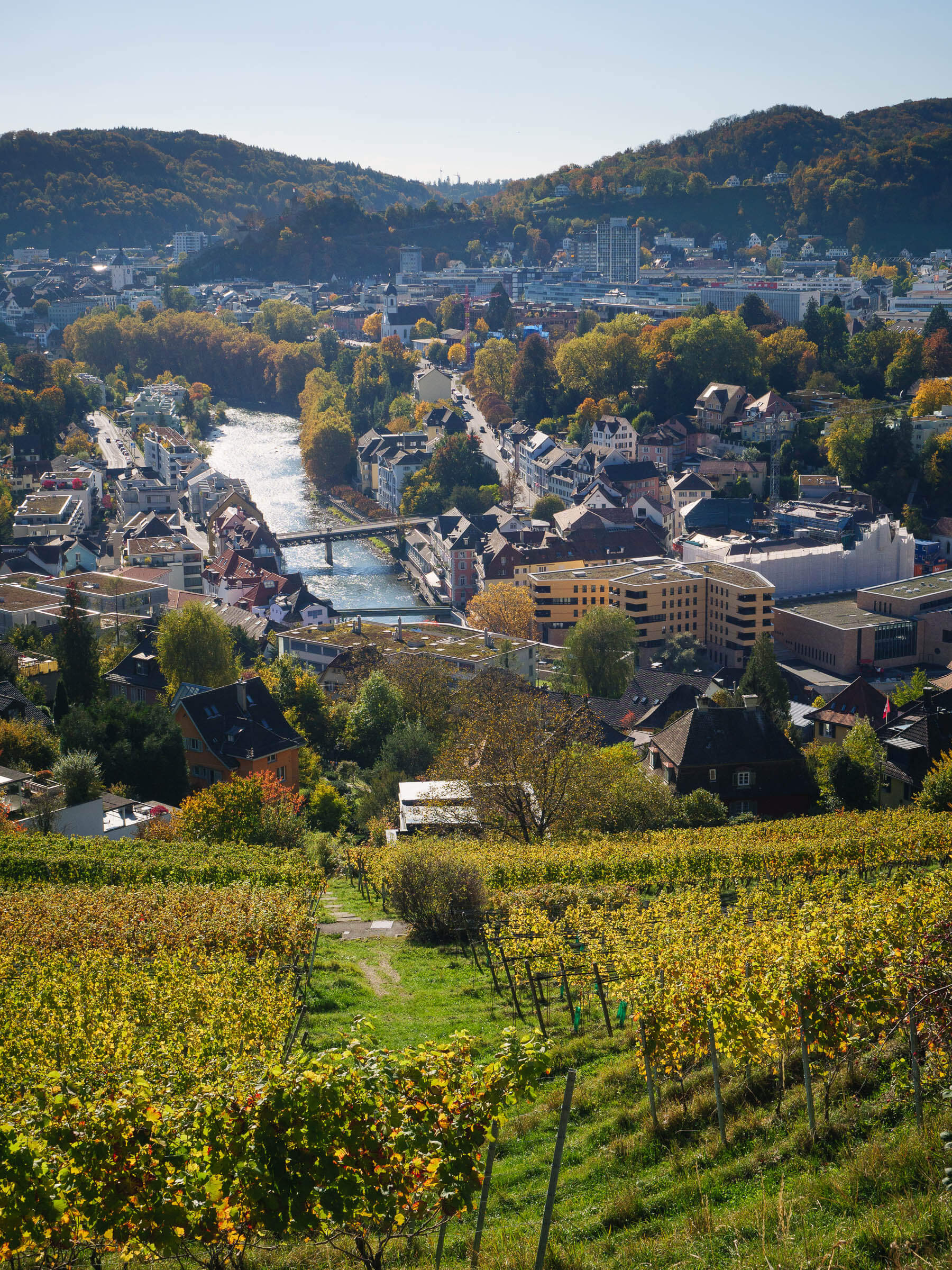 37 Goldwand Ennetbaden